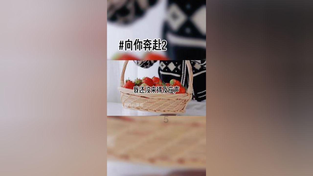 沙漠赛道驾驶