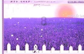 官方:科威特裁判贾迈利将执法亚洲杯末轮国足vs卡塔尔